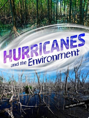 Hurricanes and the Environment
