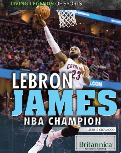 LeBron James NBA Champion