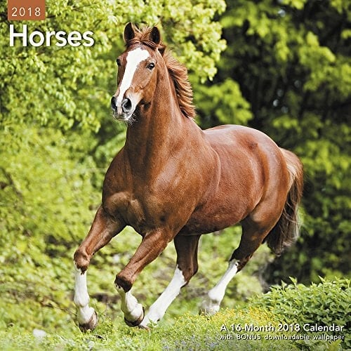 2018 Horses Wall Calendar (mead)
