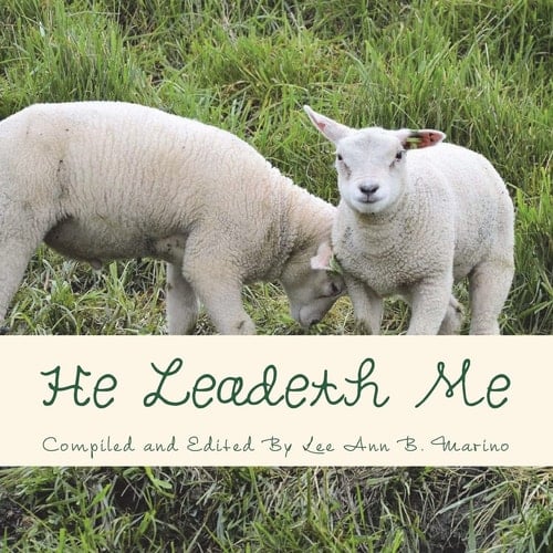 He Leadeth Me Heartwarming Stories, Songs, and Poems That Show God's Guidance and Presence in Everyday Life