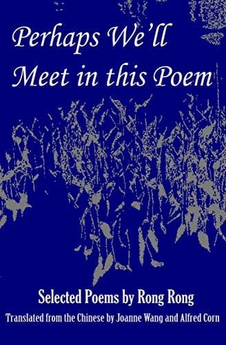 Perhaps We'll Meet in This Poem: Selected Poems by Rong Rong