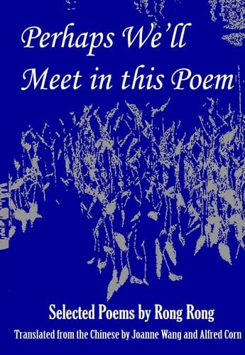 Perhaps We'll Meet in This Poem