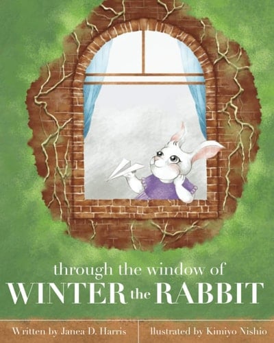 Through the Window of WINTER the RABBIT