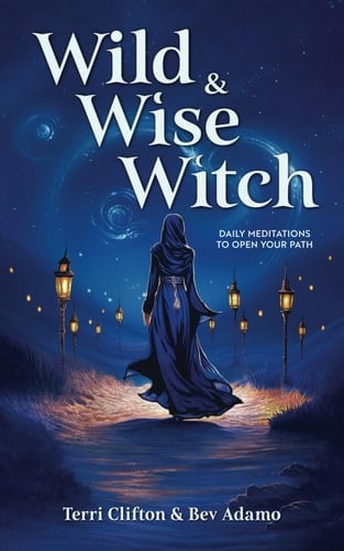 Wild & Wise Witch Daily Meditations To Open Your Path
