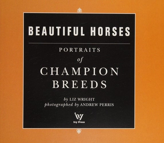 Beautiful Horses Portraits of Champion Breeds Preened to Perfection