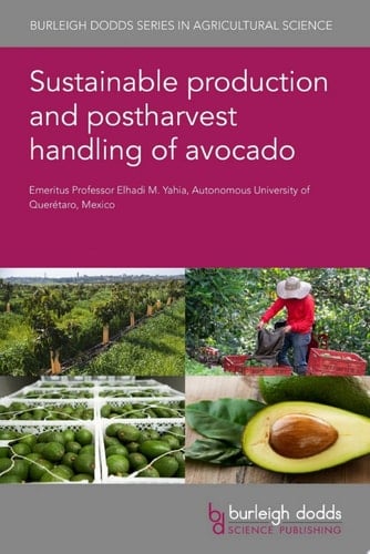 Sustainable production and postharvest handling of avocado