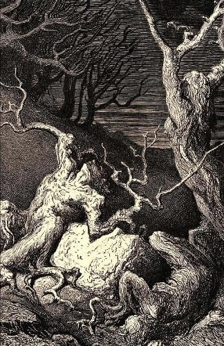 UNQUIET GROVE.