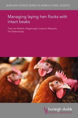 Managing laying hen flocks with intact beaks