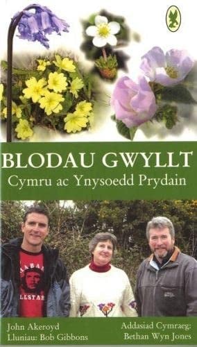 Blodau Gwyllt