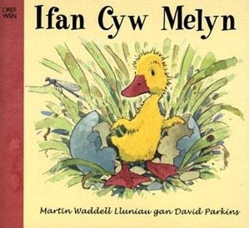 Ifan Cyw Melyn