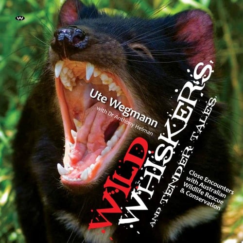 Wild Whiskers and Tender Tales Close Encounters with Australian Wildlife Rescue & Conservation