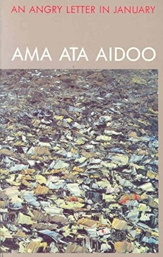 An angry letter in January and other poems