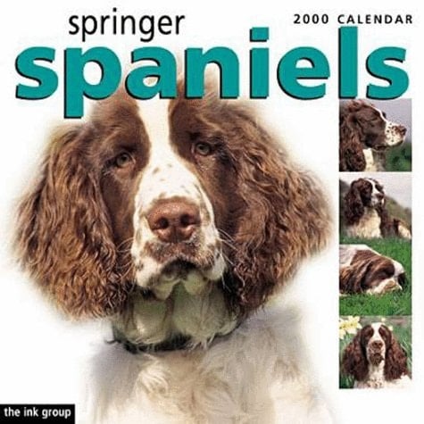 Springer Spaniels 2000 Calendar