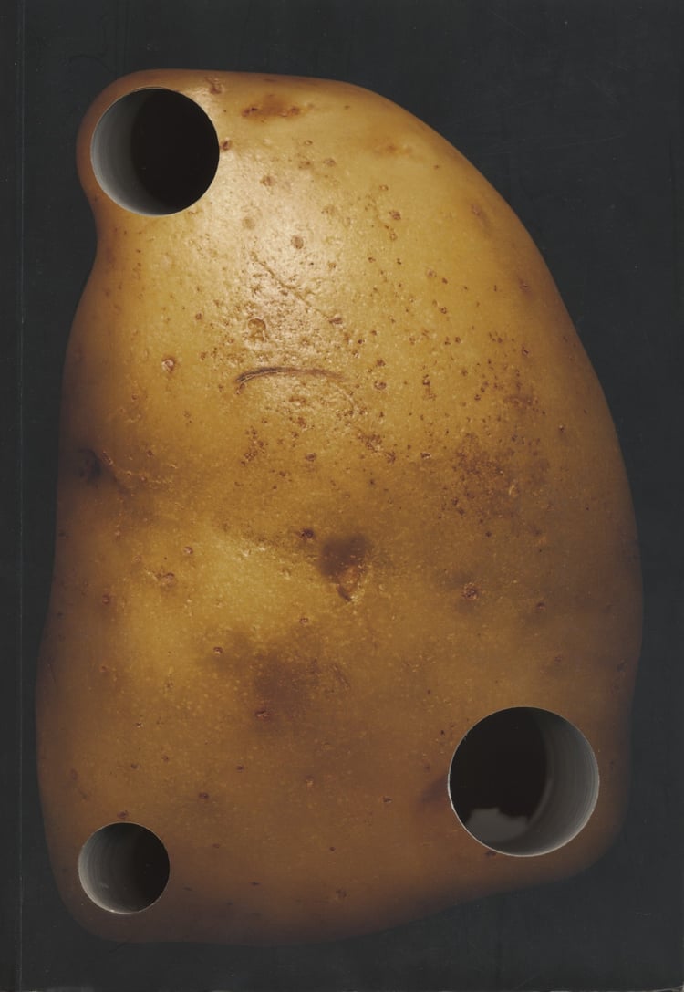 Abstract 2010/2011 Columbia Architecture Planning Preservation