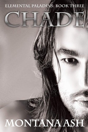 Chade Elemental Paladins: Book Three