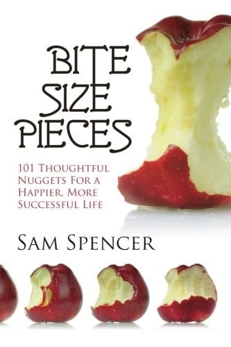 Bite Size Pieces 101 Thoughtful Nuggets For a Happier, More Successful Life