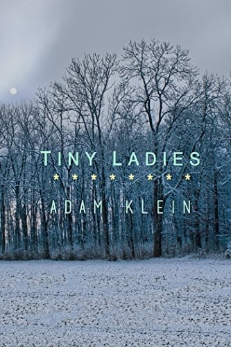 Tiny Ladies (High Risk Books)