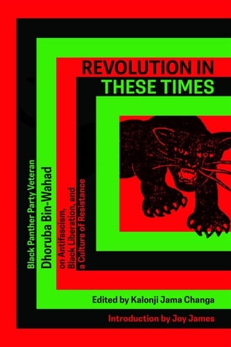 Revolution In These Times