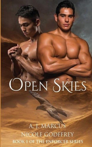 Open Skies