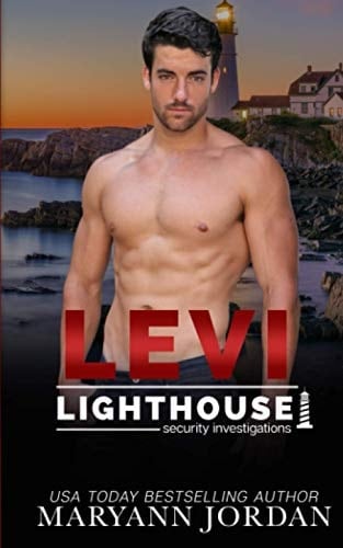 Levi Lighthouse Security Investigation