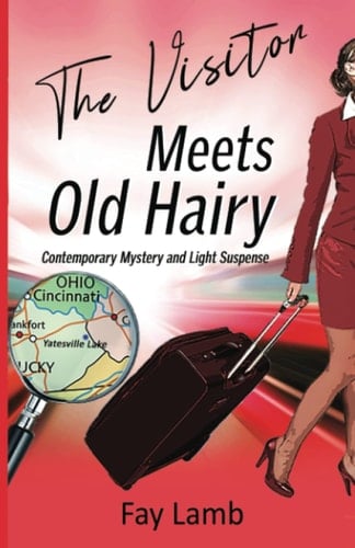 The Visitor Meets Old Hairy Contemporary Mystery and Light Suspense