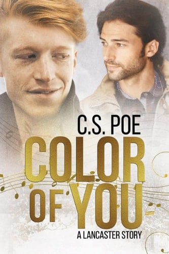 Color of You Spicy Holiday Small Town Gay Romance
