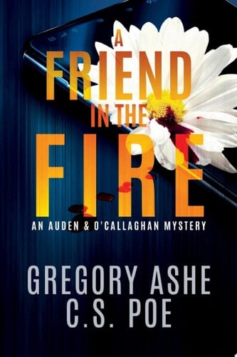 A Friend in the Fire Sleuth Mystery Opposites Attract Gay Romance