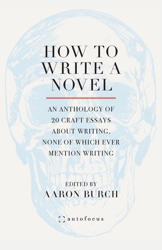 How to Write a Novel An Anthology of 20 Craft Essays About Writing, None of Which Ever Mention Writing