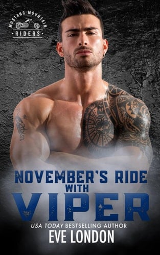 November's Ride with Viper