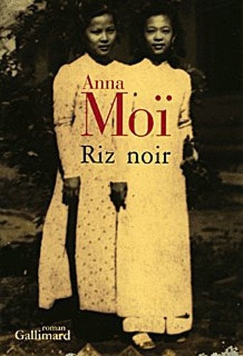 Riz noir roman