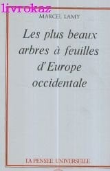 Les plus beaux arbres à feuilles d'Europe Occidentale