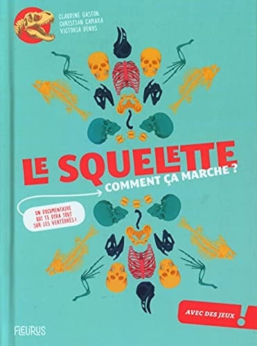 Le squelette : comment ça marche ?