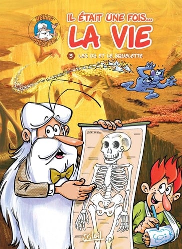 Les os et le squelette