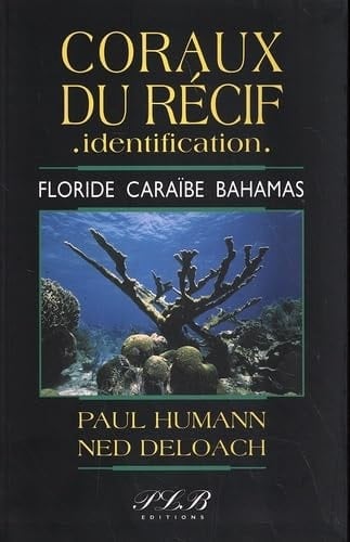Coraux du récif - identification Floride, Caraïbe, Bahamas