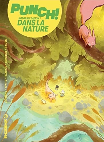Minimage ; Moineau ; Cratère ; Alma