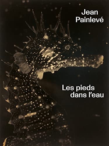 Jean Painlevé les pieds dans l'eau
