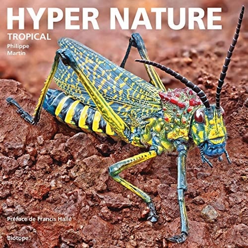 Hyper nature tropical