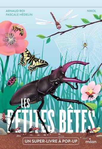 Les petites bêtes Un super-livre à pop-up