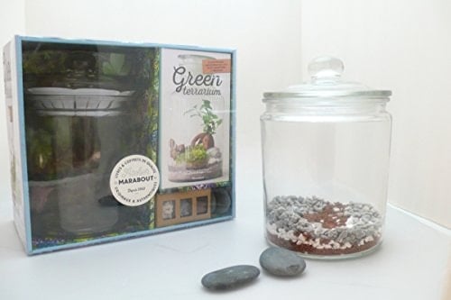 Green terrarium Contient un terrarium en verre