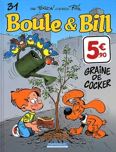 Graine de cocker