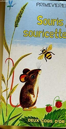 Souris, souricette une histoire