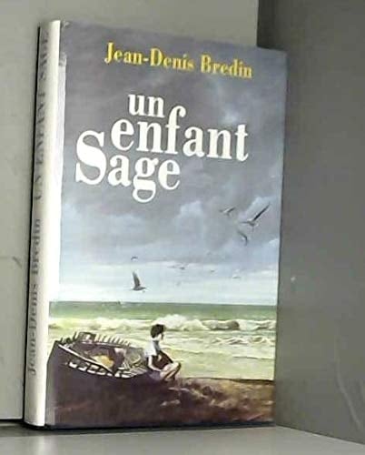 Un enfant sage roman