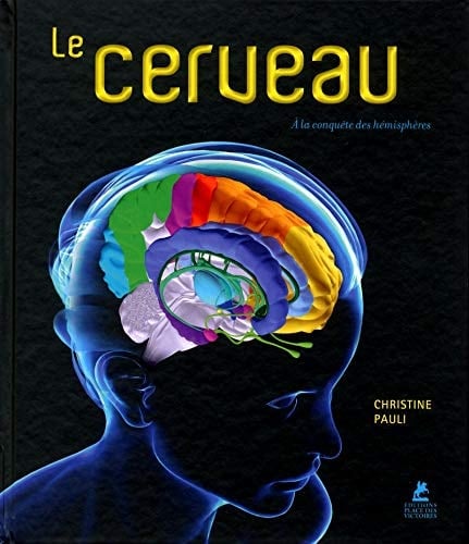 Le cerveau à la conquête des hémisphères