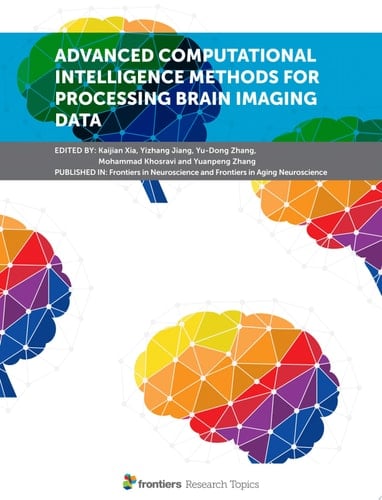 Advanced Computational Intelligence Methods for Processing Brain Imaging Data
