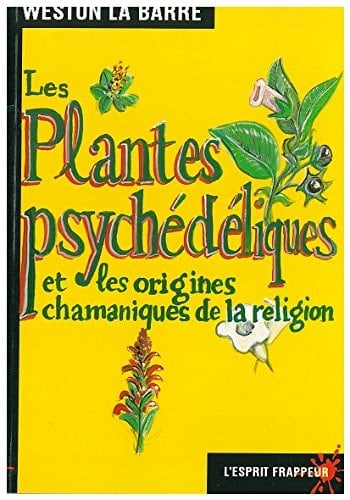 Les plantes psychédéliques et les origines chamaniques de la religion