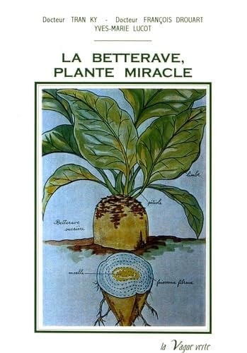 La betterave, plante miracle