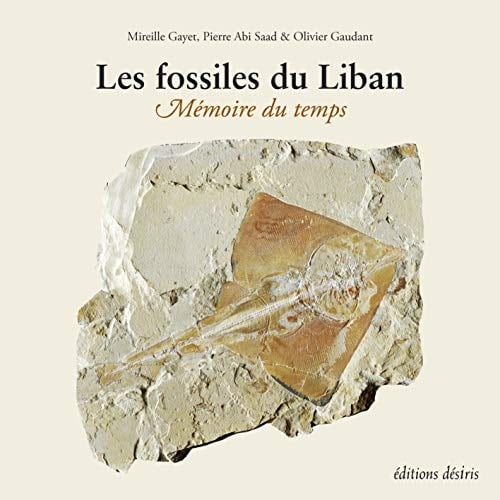 Les fossiles du Liban mémoire du temps