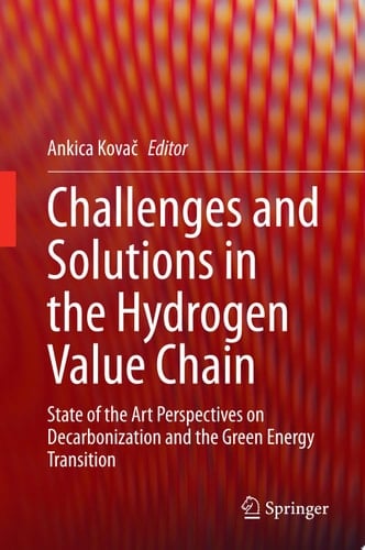 Challenges and Solutions in the Hydrogen Value Chain