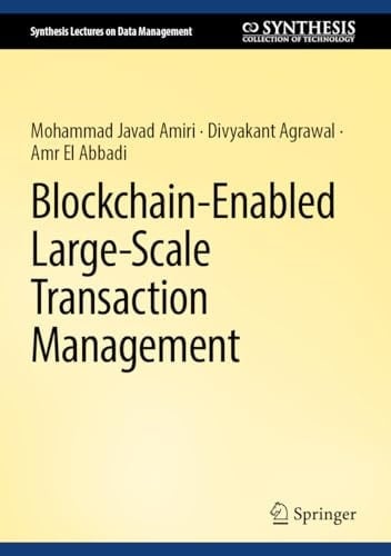 Blockchain-Enabled Large-Scale Transaction Management