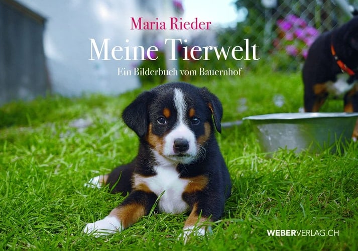 Meine Tierwelt ein Bilderbuch vom Bauernhof